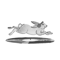 http://www.jeanandre.fr/files/gimgs/th-18_rabbitraph.jpg