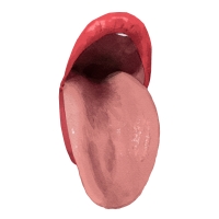 http://www.jeanandre.fr/files/gimgs/th-21_bouche_-_copie.jpg