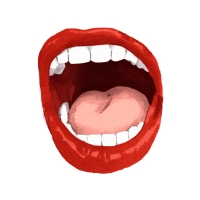 http://www.jeanandre.fr/files/gimgs/th-21_france1.jpg