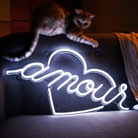 http://www.jeanandre.fr/files/gimgs/th-33_Amour-JA-2_1_830c8710-b5e8-467e-a8b5-1e995d9bc456.jpg