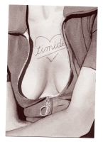 http://www.jeanandre.fr/files/gimgs/th-40_timide.jpg